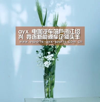 爱游戏电竞